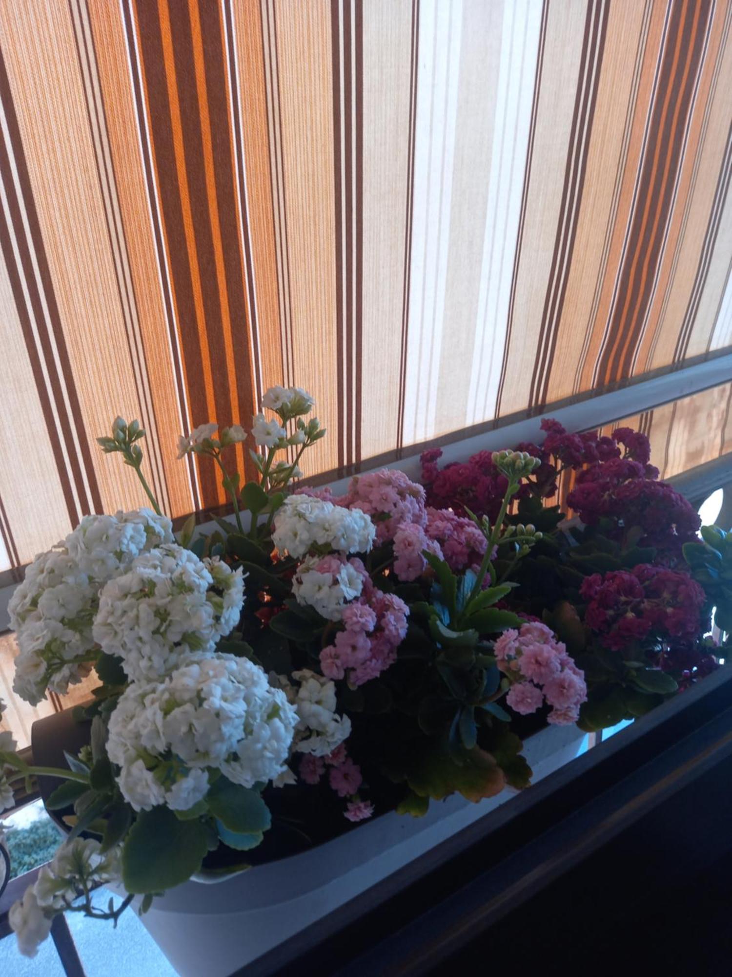 Irene Home Syracuse Bagian luar foto